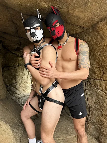 Cave Puppies